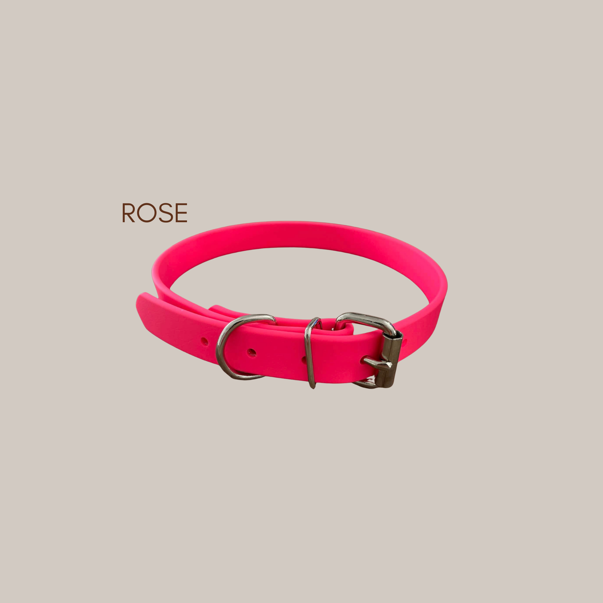 Collier à ceinture en biothane – Personnalisable avec le nom de votre animal