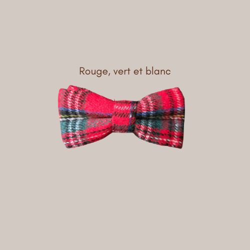 noeud.papillon.de.couleurs