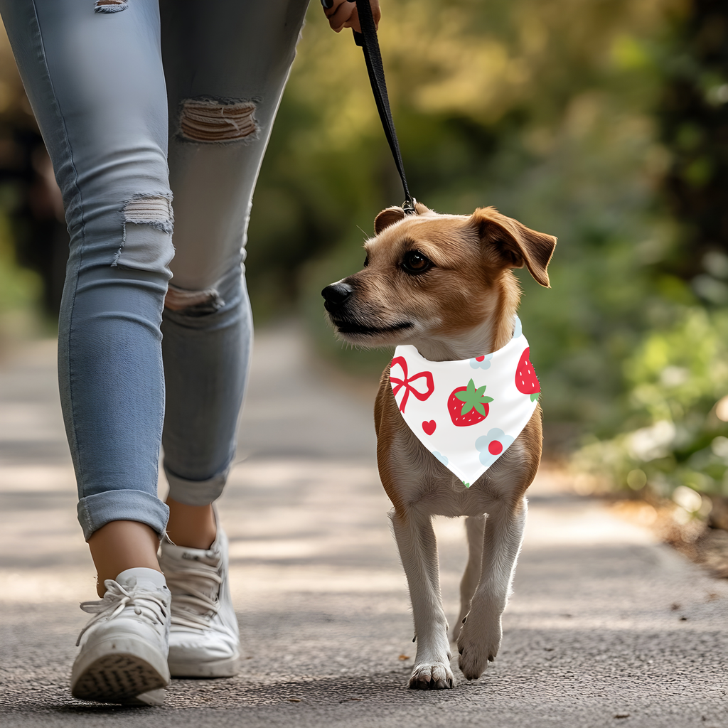 Bandana pour animaux – Ça sent le printemps ! 🍓🌼