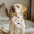 Bandana Halloween Spooky – Sorcières & Fantômes | Amis & Animaux