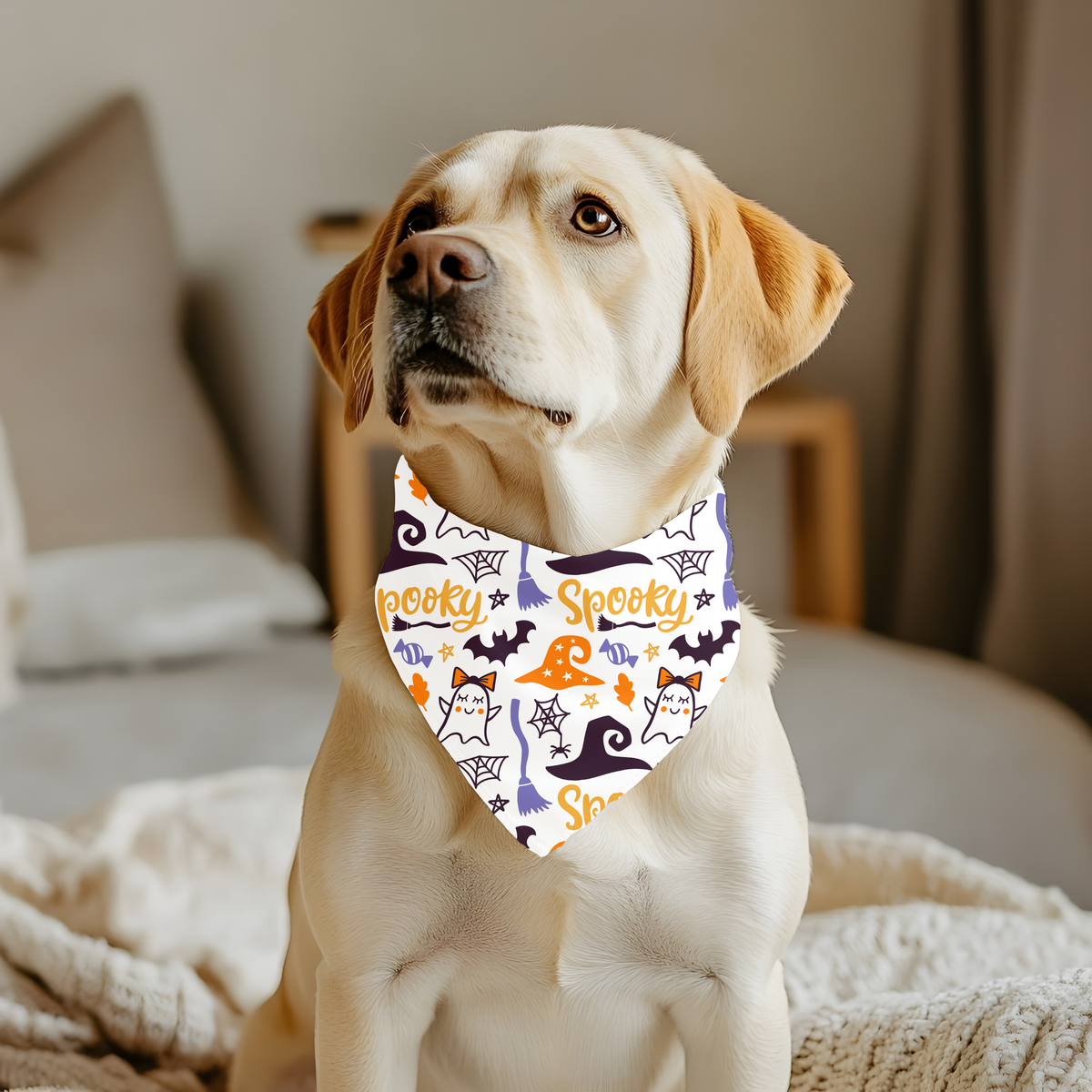 Bandana Halloween Spooky – Sorcières & Fantômes | Amis & Animaux