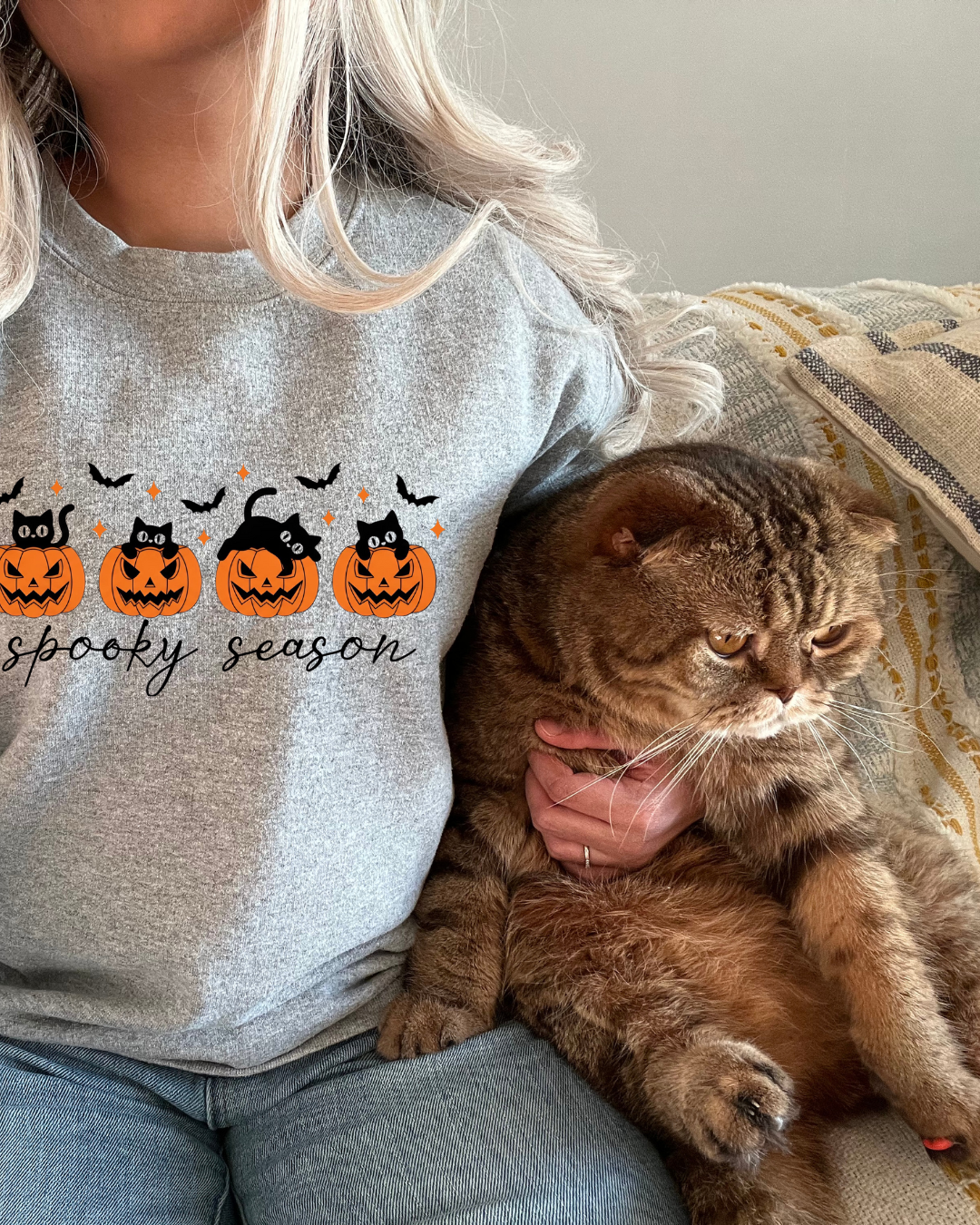Sweatshirt gris - Citrouilles chats