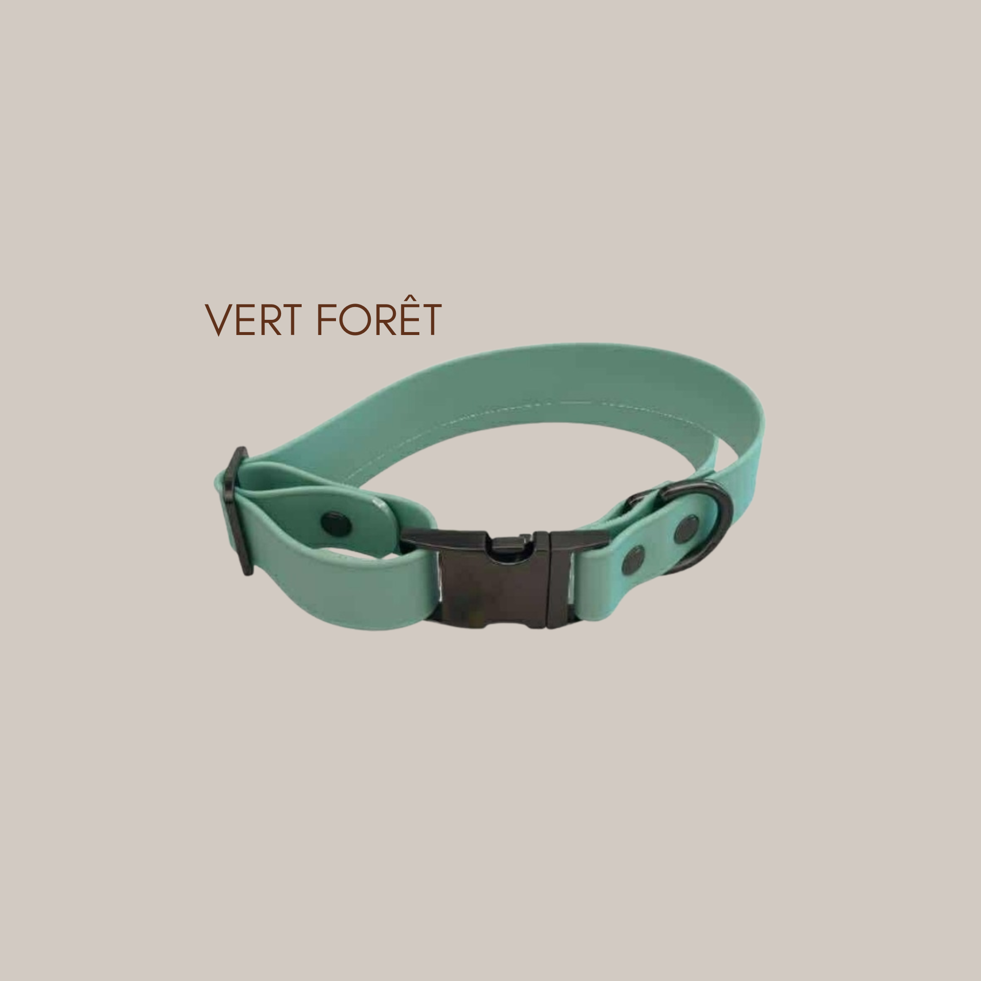 Collier à boucle en biothane – Personnalisable avec le nom de votre animal