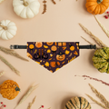Bandana Halloween Magie d’Automne – Citrouilles & Sorcières | Amis & Animaux